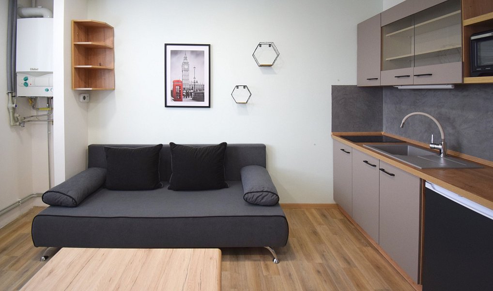 Pronájem bytu 1+kk, 20 m², Plzeň-sever, Úněšov