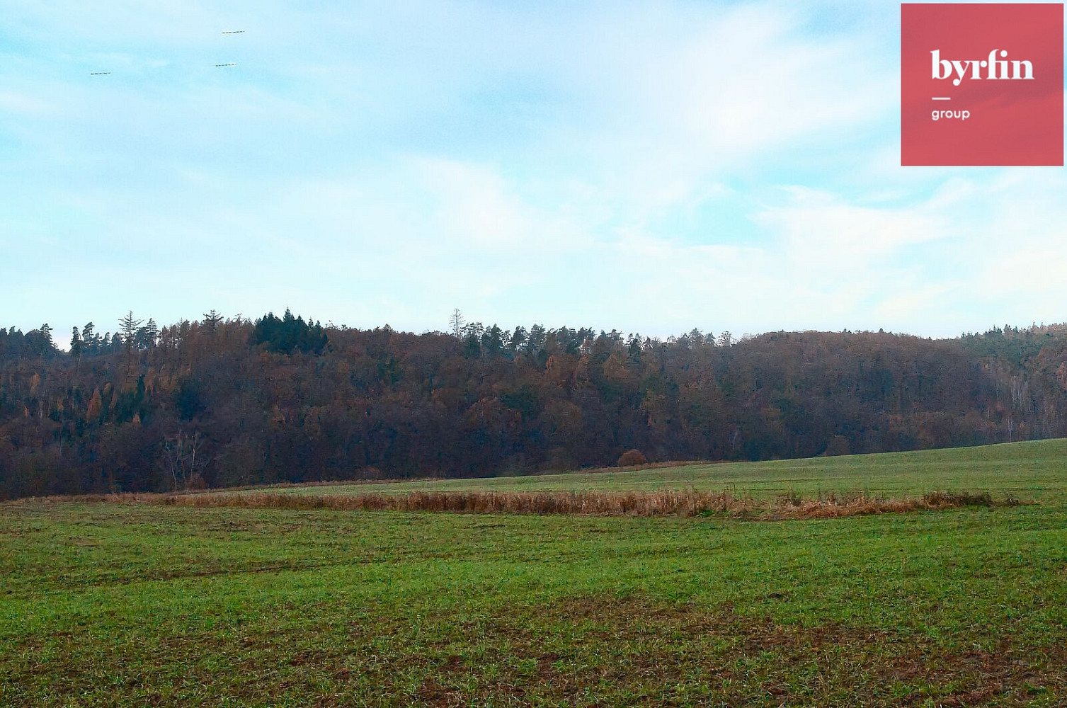 Prodej louky 6 660 m² – fotografie 4