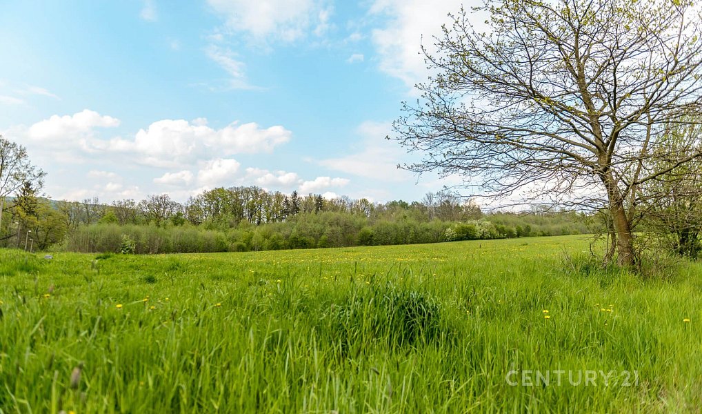 Prodej stavebního pozemku 729 m², Děčín – náhled fotky 15