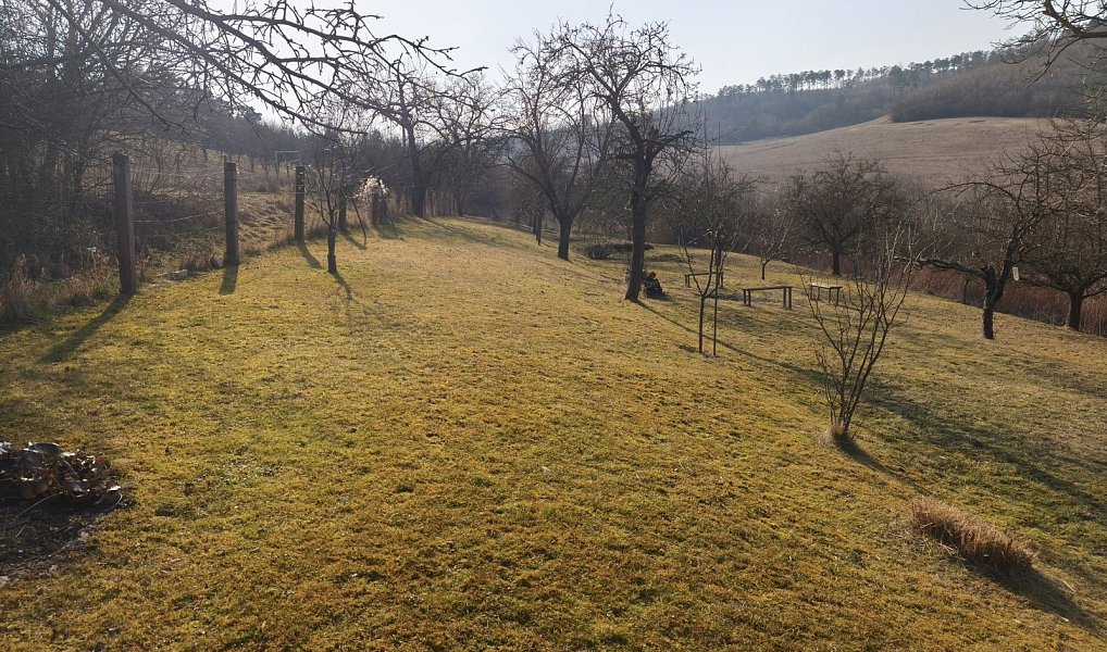 Prodej chaty/chalupy 20 m² s pozemkem 23 m², Kyjov – náhled fotky 10