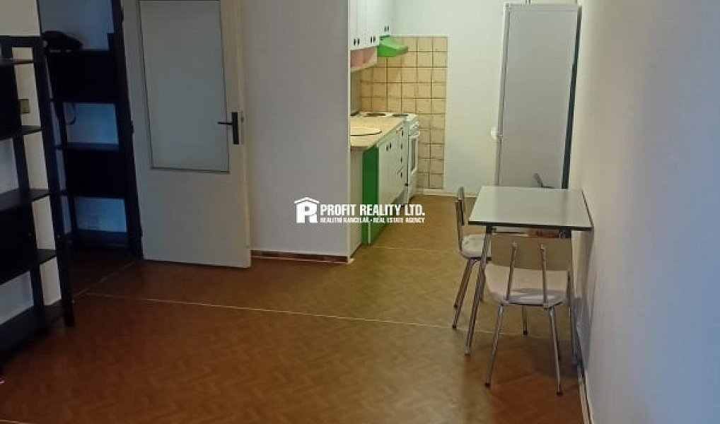 Pronájem bytu 2+kk 43 m², Praha – náhled fotky 2
