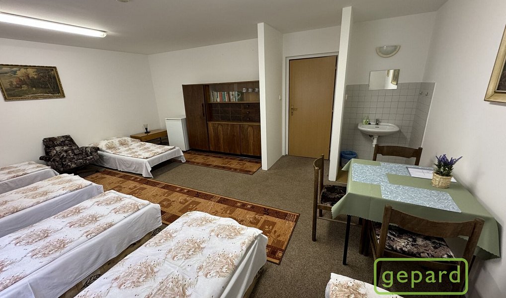 Prodej ubytovacího objektu 800 m², Český Krumlov – náhled fotky 19
