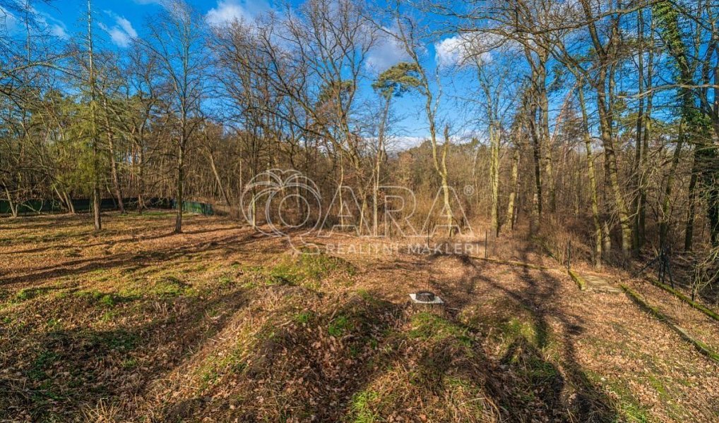 Prodej stavebního pozemku 6 090 m², Ovčáry – náhled fotky 5