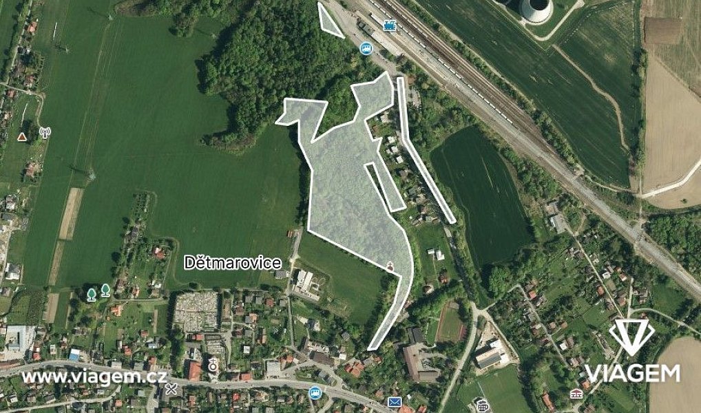 Prodej lesa 25 022 m², Dětmarovice – náhled fotky 3