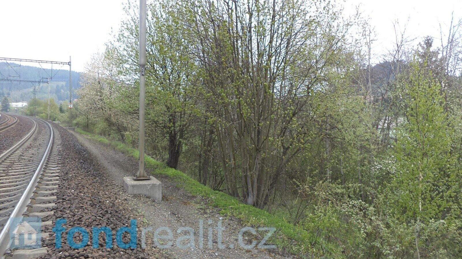 Fotka 13 z 15