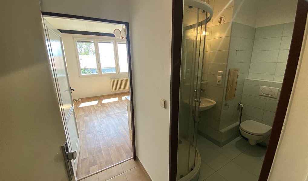 Pronájem bytu 1+kk 21 m², České Budějovice – náhled fotky 2