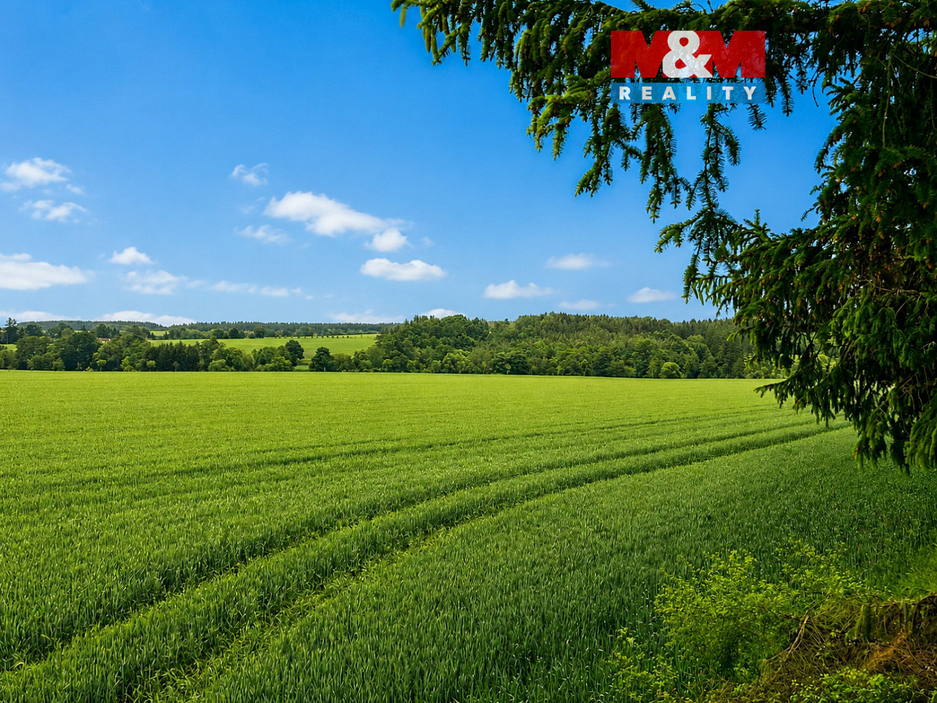 Prodej pole 7 484 m²