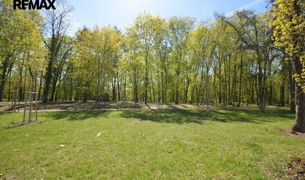Pronájem zahrady 800 m², Slaný – náhled fotky 4