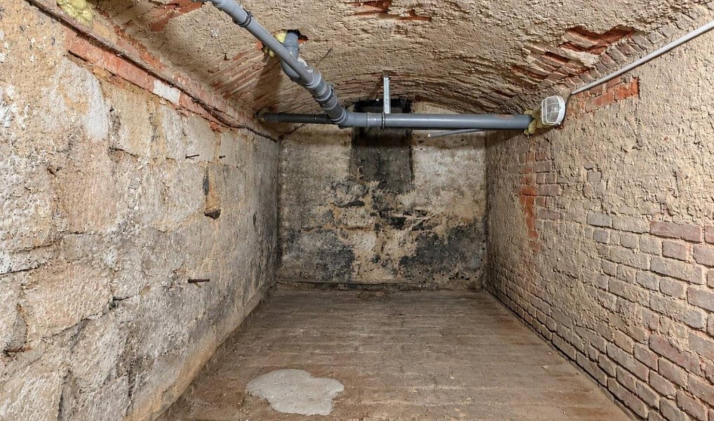 Prodej skladovacích prostor 10 m², Plzeň – náhled fotky 4