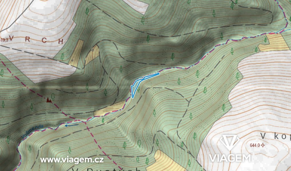 Prodej lesa 932 m², Vysoké nad Jizerou – náhled fotky 3