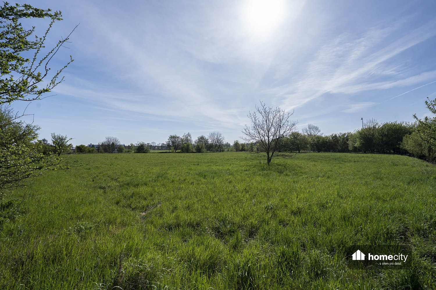 Prodej komerčního pozemku 9 749 m² – fotografie 4