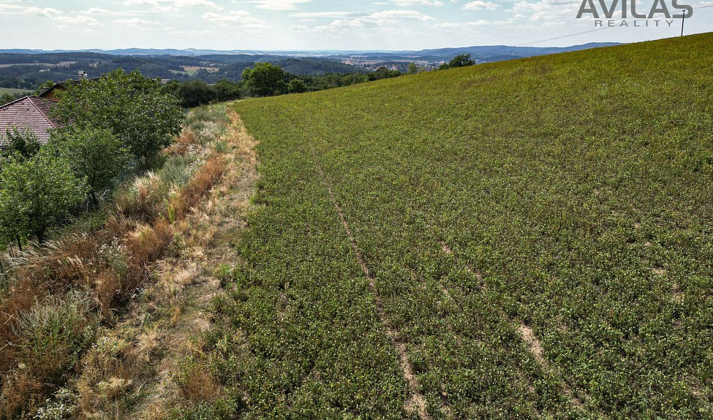 Prodej stavebního pozemku 7 885 m², Soběhrdy – náhled fotky 7
