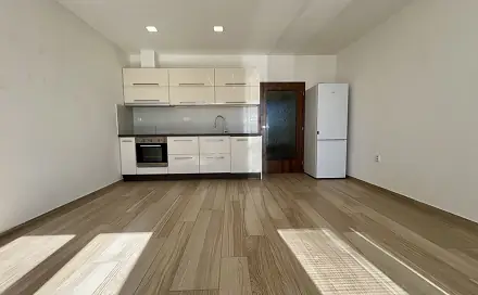 Pronájem bytu 1+kk 38 m², Věstonická, Brno - Židenice