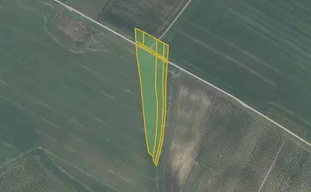 Prodej pole 8 634 m², Prušánky, okres Hodonín