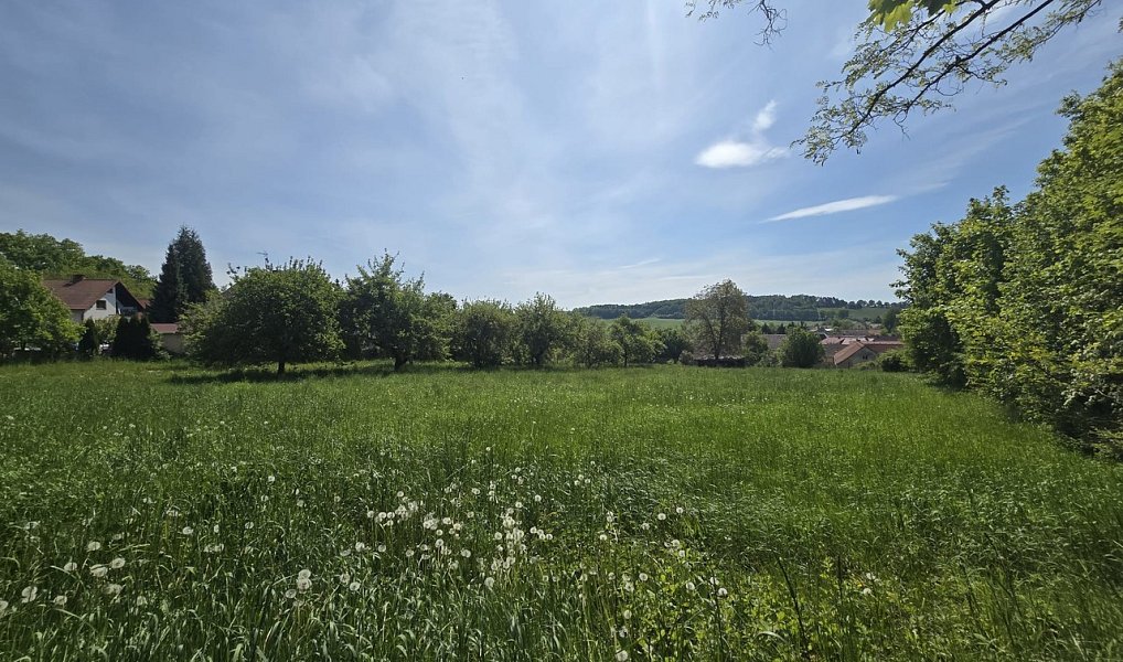 Prodej stavebního pozemku 961 m², Maršovice – náhled fotky 8