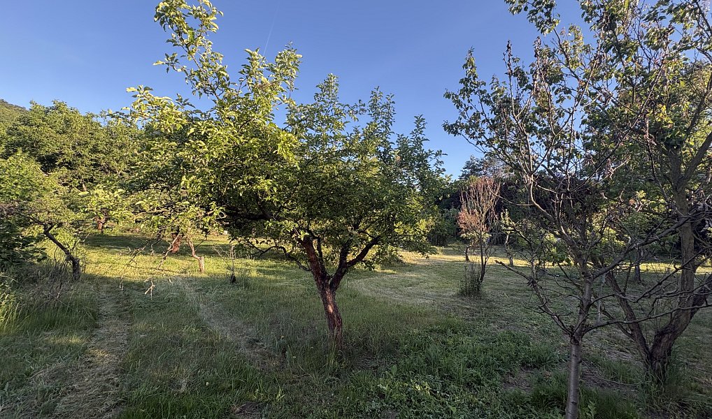 Prodej zahrady 1 298 m², Ústí nad Labem – náhled fotky 6
