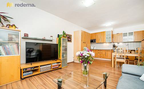 Pronájem bytu 3+kk 69 m², Nučická, Praha 10 - Strašnice