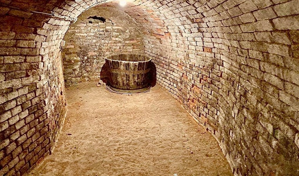 Nový Šaldorf - Sedlešovice, lisovna, 145 m2, pozemek 978 m2 vinný sklep, Nový Šaldorf-Sedlešovice – náhled fotky 4