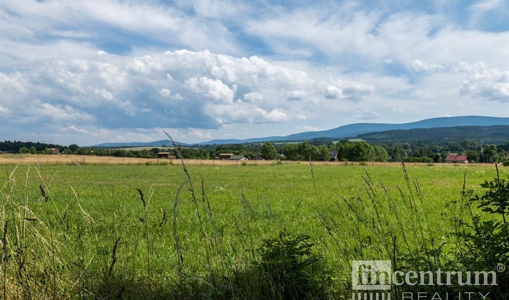 Prodej louky 53 774 m², Jindřichovice pod Smrkem – náhled fotky 6