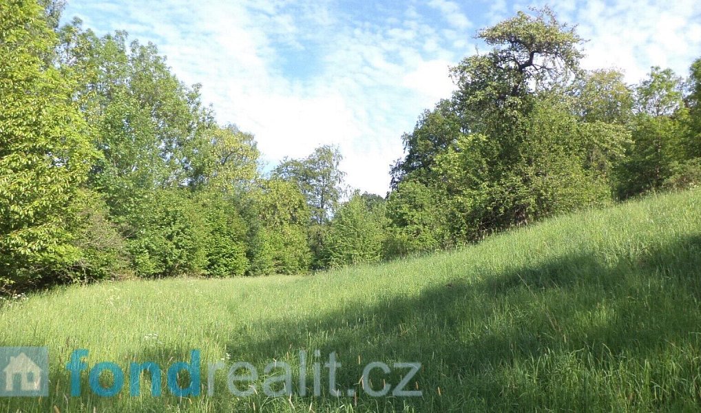 Prodej pole 15 764 m², Děčín – náhled fotky 2