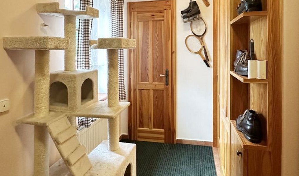 Prodej chaty/chalupy 400 m² s pozemkem 2 527 m², Bystřec – náhled fotky 41