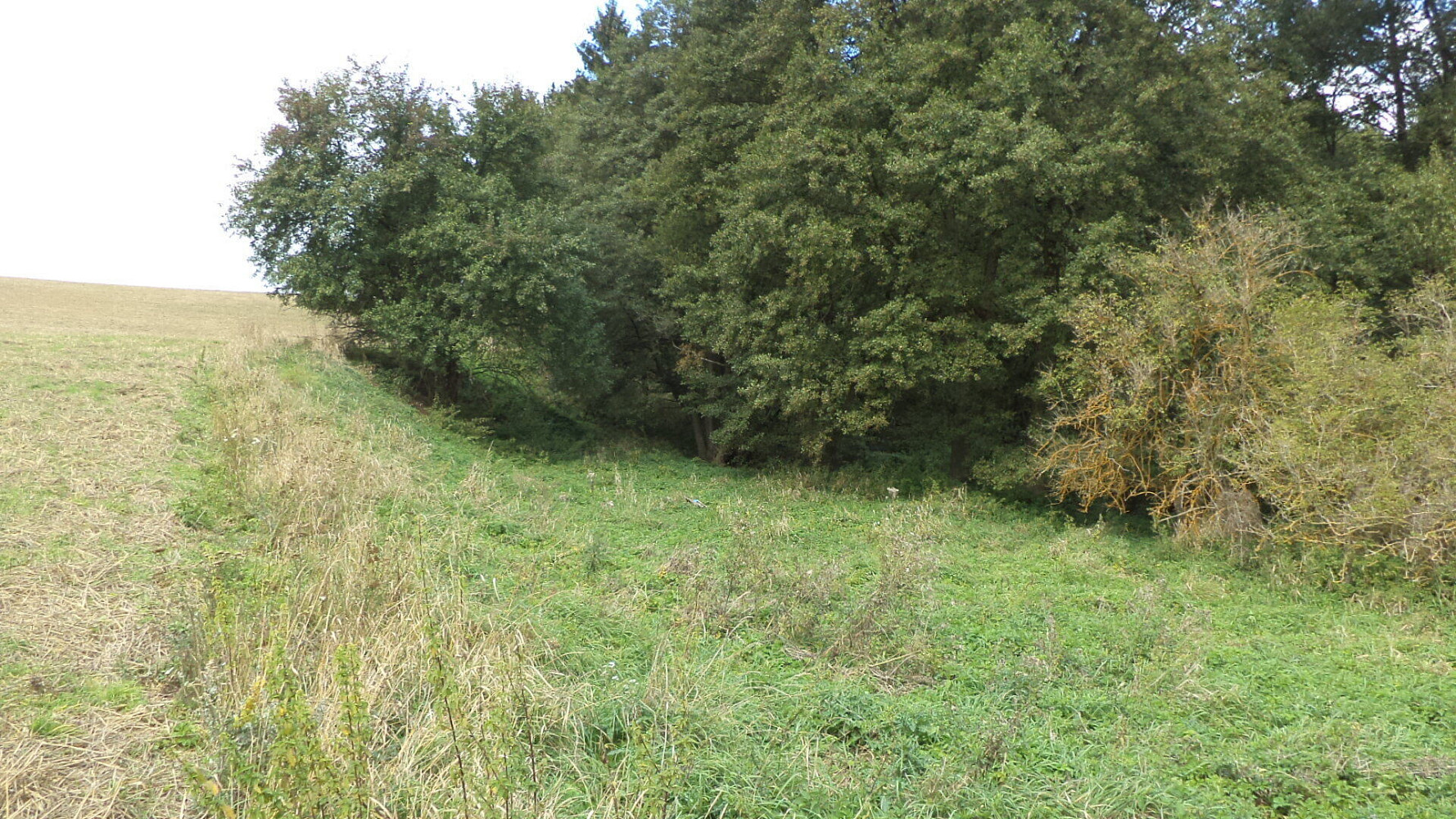 Prodej pole 58 887 m² – fotografie 2