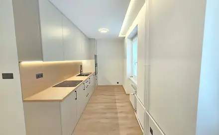 Pronájem bytu 2+1 51 m², Maxe Švabinského, Most