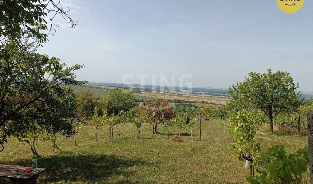Prodej chaty/chalupy 30 m² s pozemkem 4 483 m², Strážnice – náhled fotky 2