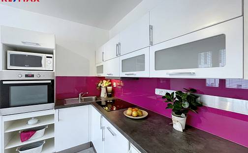 Pronájem bytu 1+1 39 m², Mánesova, České Budějovice - České Budějovice 7