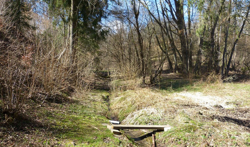 Prodej chaty/chalupy 36 m² s pozemkem 341 m², Zábřeh – náhled fotky 5