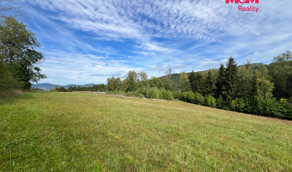 Prodej stavebního pozemku 64 409 m², Záblatí – náhled fotky 13