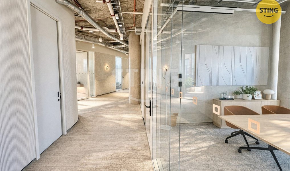 Pronájem kanceláře 4 400 m², Ostrava – náhled fotky 6
