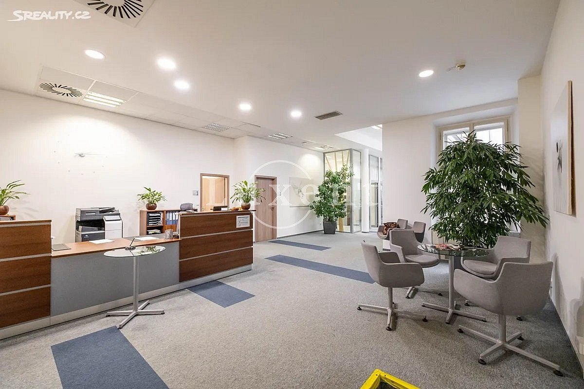 Pronájem kanceláře 300 m², Praha - Nové Město – pohled 2
