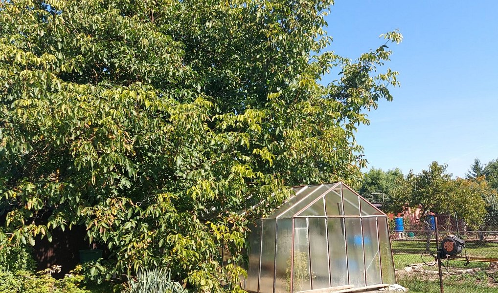 Prodej zahrady 452 m², Louny – náhled fotky 6