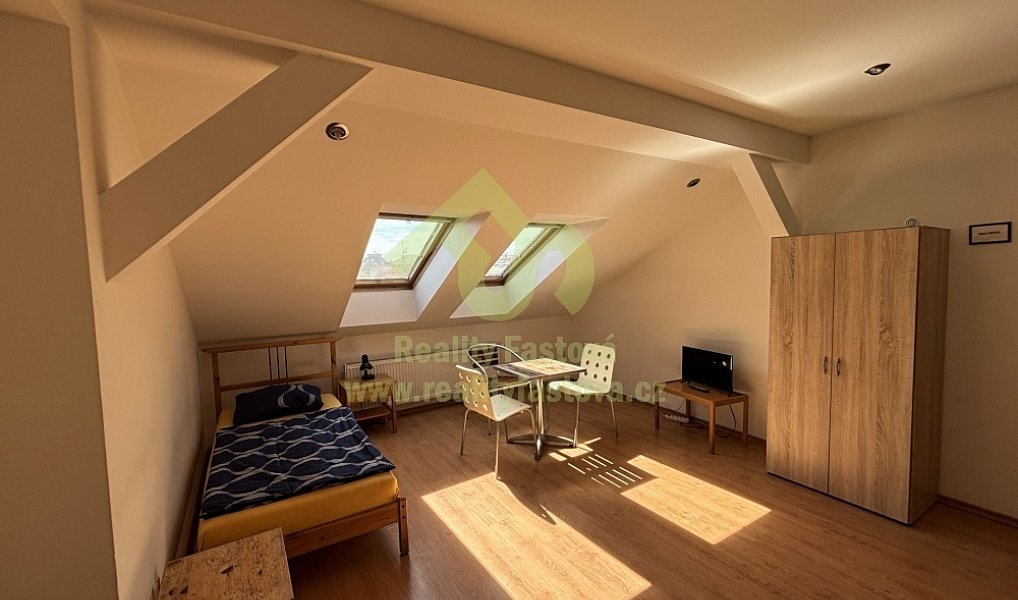 Prodej domu 776 m² s pozemkem 192 m², Plzeň – náhled fotky 17