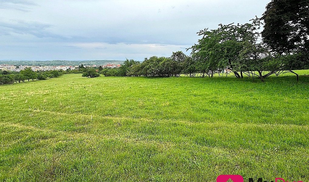 Prodej pole 7 045 m², Nový Šaldorf-Sedlešovice – náhled fotky 2