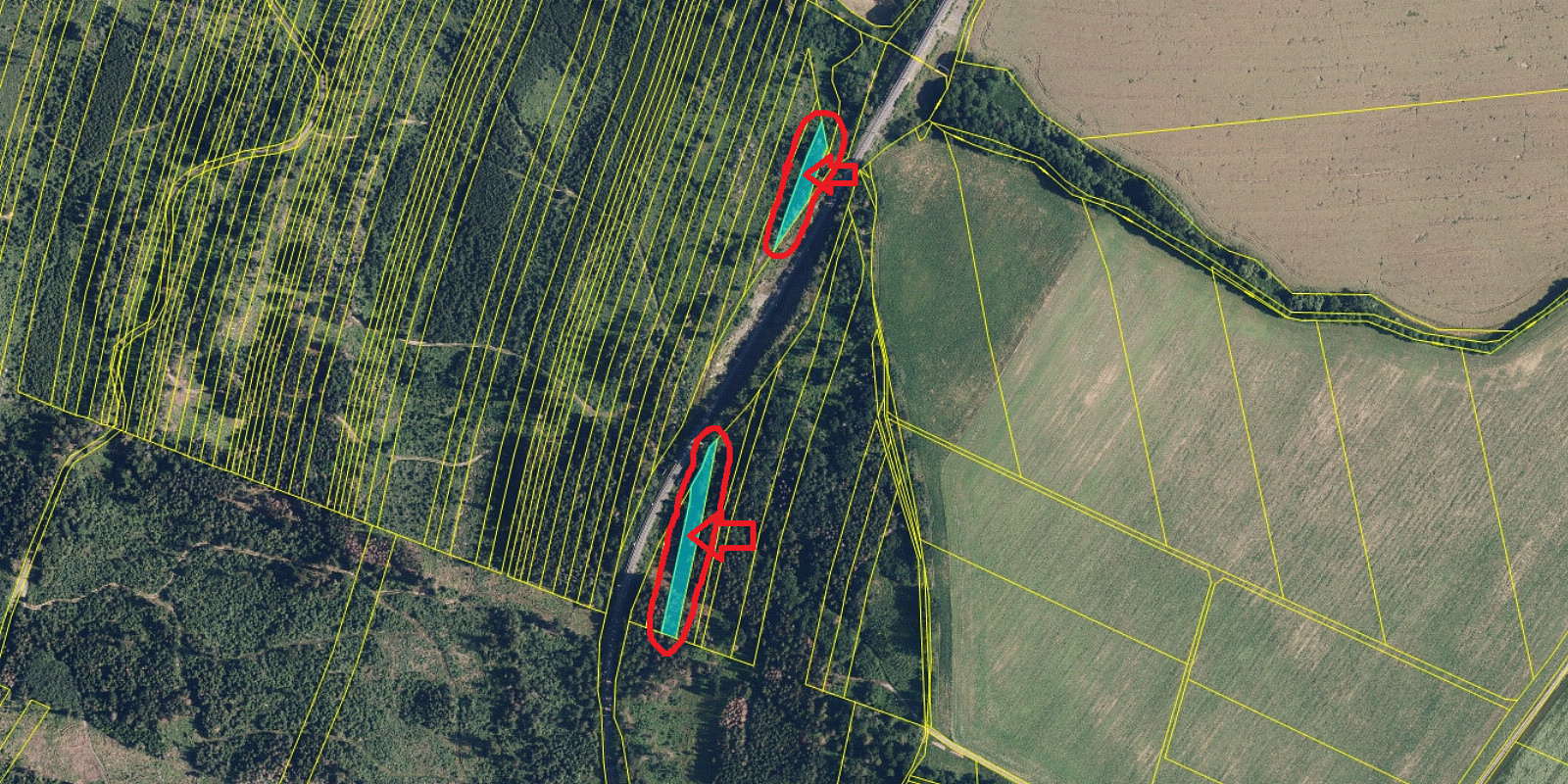 Prodej lesa 2 498 m² – pohled 3