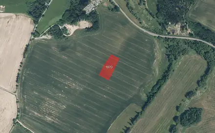 Prodej pole 4 463 m², Chodov, okres Domažlice