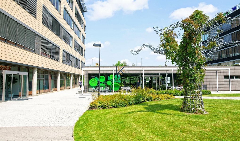 Pronájem kanceláře 250 m², Praha – náhled fotky 8