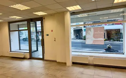 Pronájem obchodních prostor 150 m², Masarykova třída, Teplice