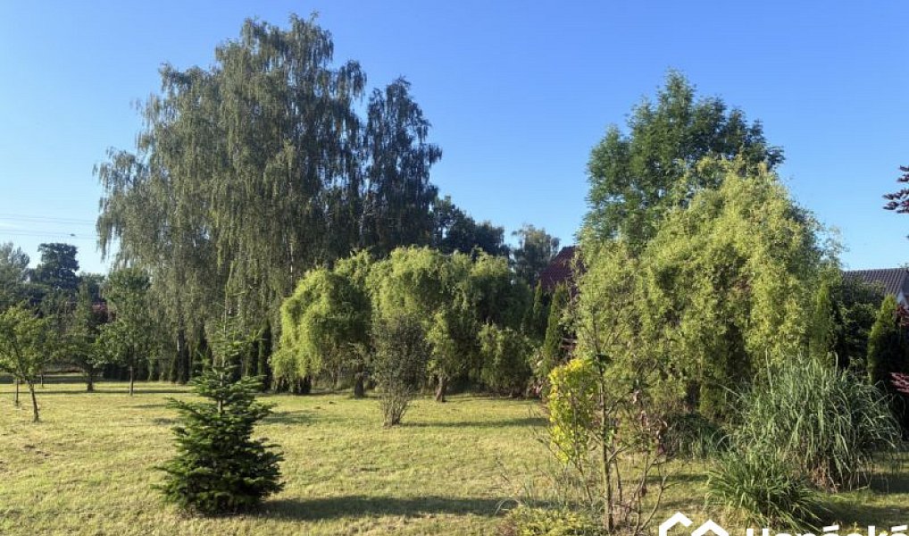 Prodej zahrady 3 994 m², Bělotín – náhled fotky 7
