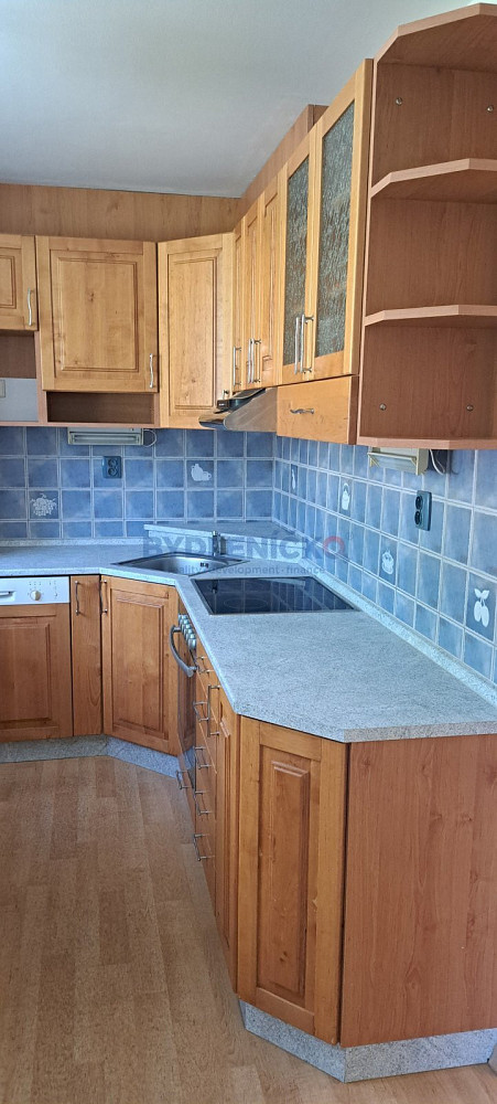 Pronájem bytu 3+1 55 m²