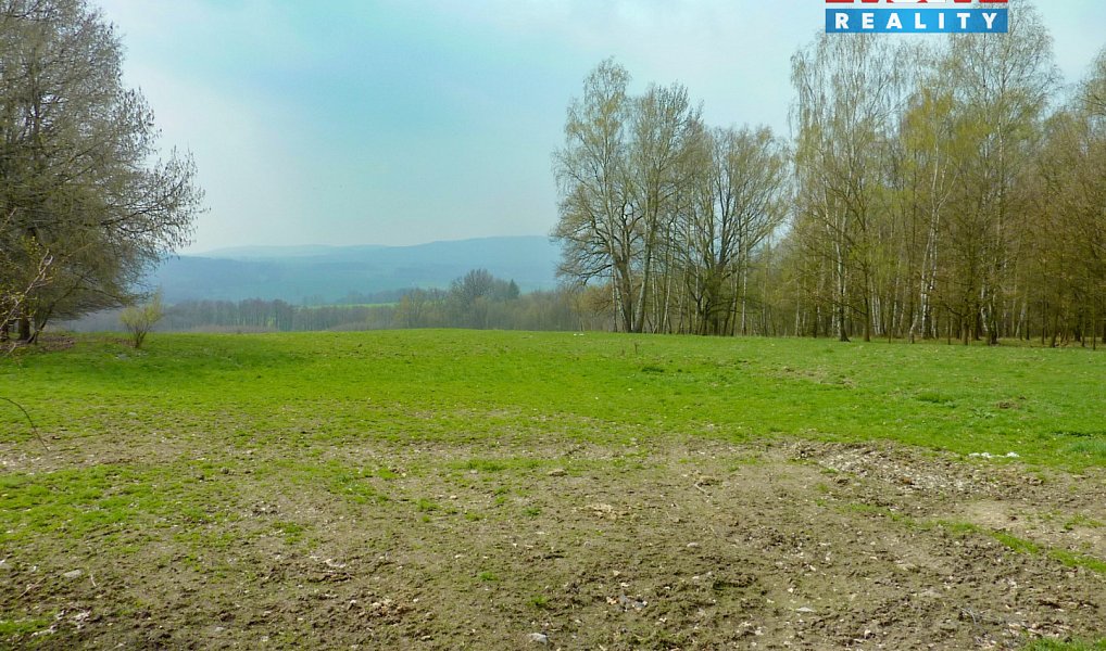 Prodej louky 55 278 m², Stružnice – náhled fotky 6