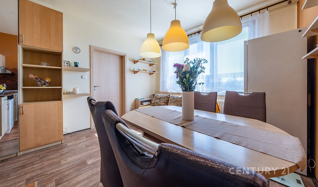 Prodej bytu 1+1 36 m², České Budějovice – náhled fotky 4