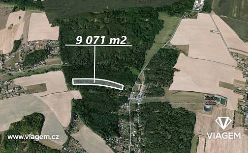 Prodej lesa 9 071 m², Horní Lhota, okres Ostrava-město