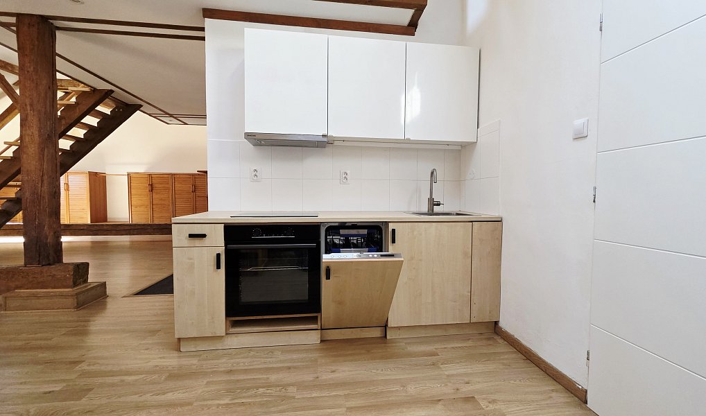 Pronájem bytu 1+kk 106 m², Plzeň – náhled fotky 2