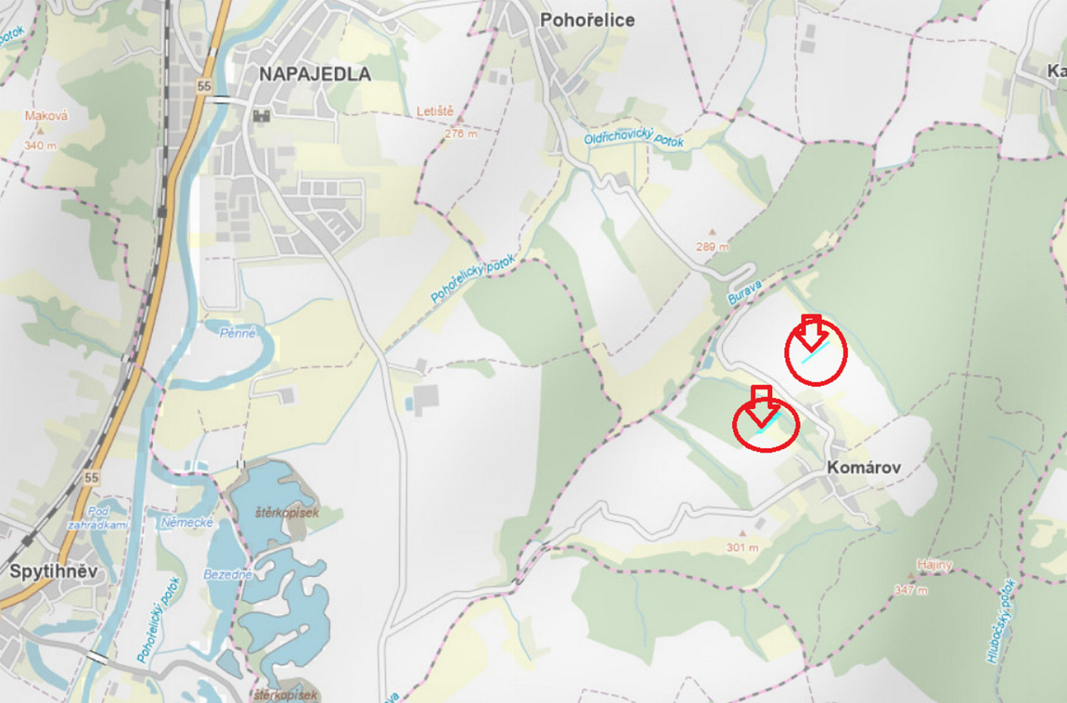 Prodej lesa 8 674 m²