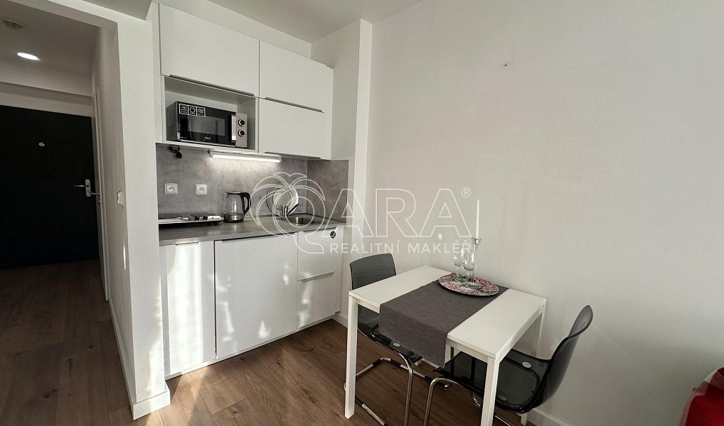 Pronájem bytu 1+kk 23 m², Praha – náhled fotky 3
