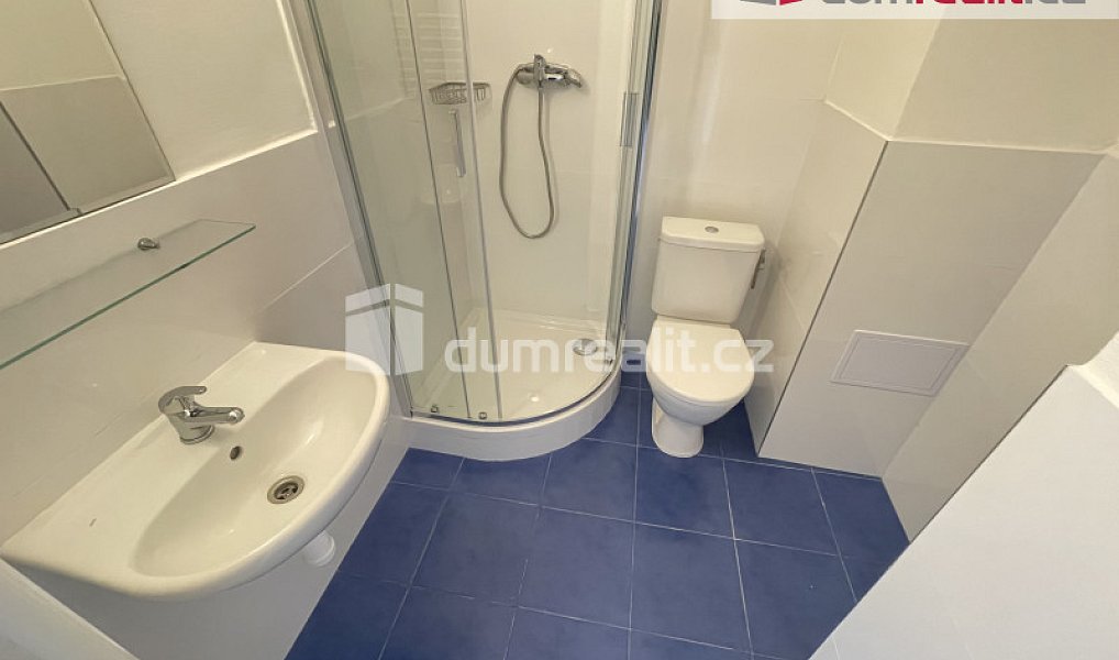 Pronájem bytu 1+kk 25 m², Praha – náhled fotky 7