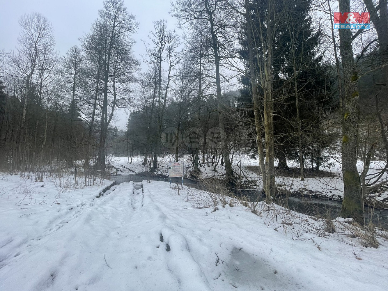 Prodej lesa 43 832 m²
